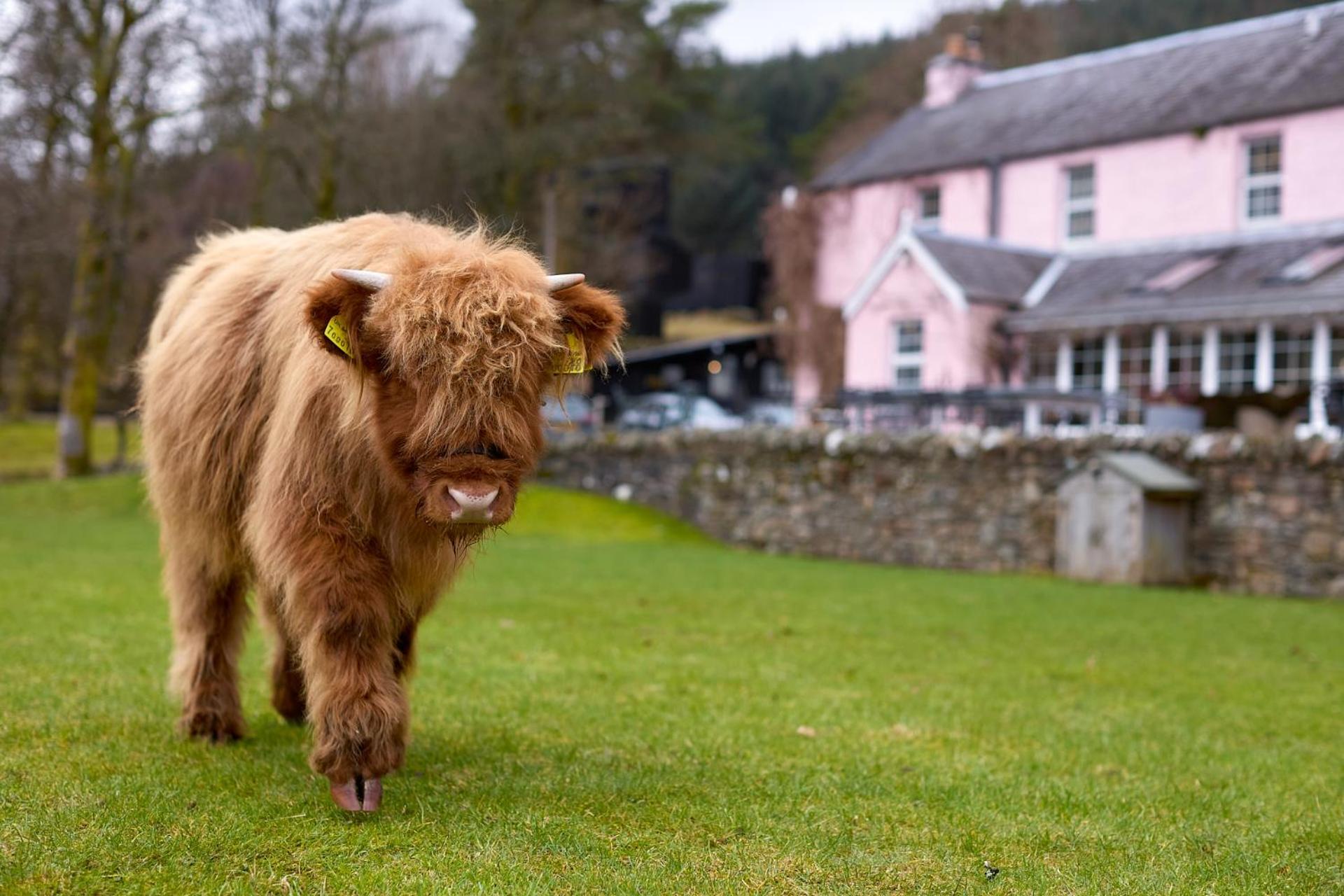 Monachyle Mhor Hotel Lochearnhead Dış mekan fotoğraf